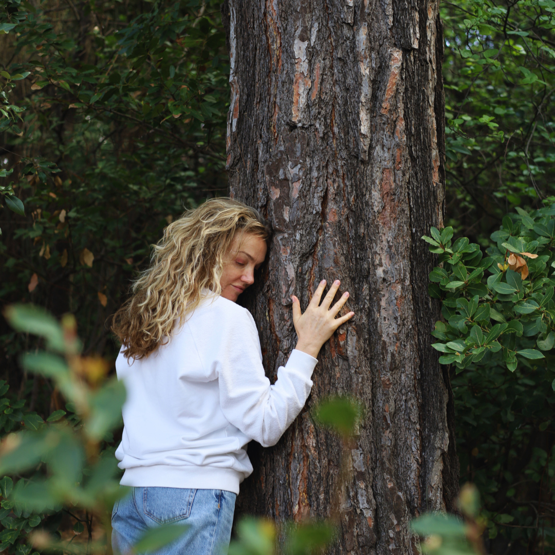 Orman Terapisi: Doğa Nasıl Zihninizi ve Bedeninizi Yeniler?